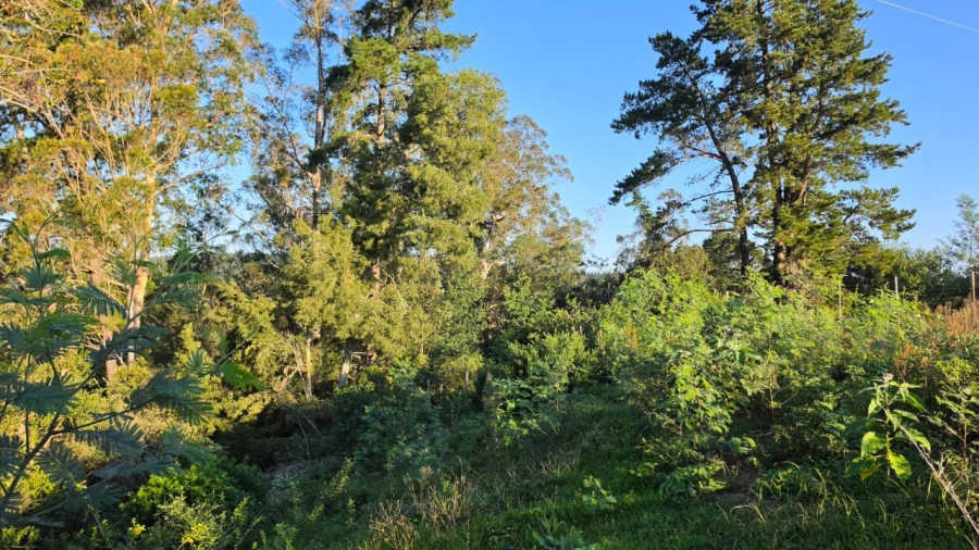 Commercial Property for Sale in Sedgefield Rural Western Cape